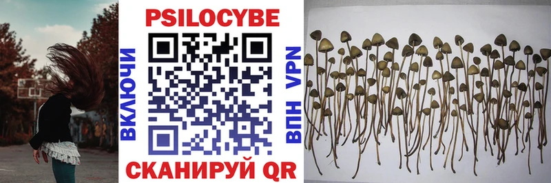 MEGA ссылка  Камызяк  Галлюциногенные грибы MAGIC MUSHROOMS 