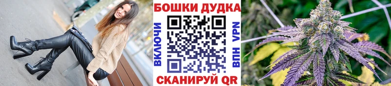 mega как войти Камызяк Конопля AK-47 купить закладку